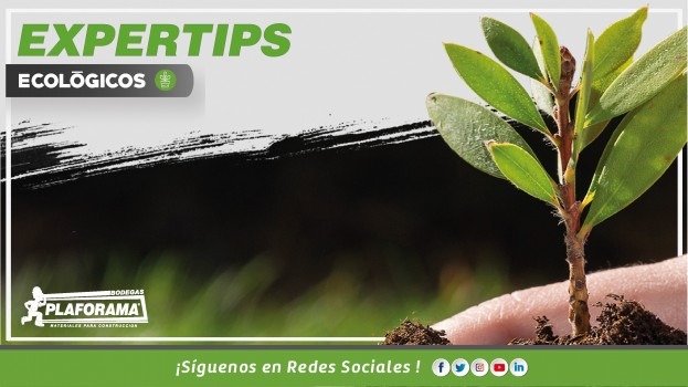 ExperTips Plaforama