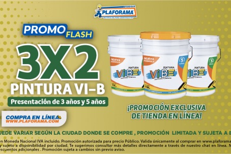 Promo Flash Pintura Vi-B